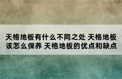 天格地板有什么不同之处 天格地板该怎么保养 天格地板的优点和缺点